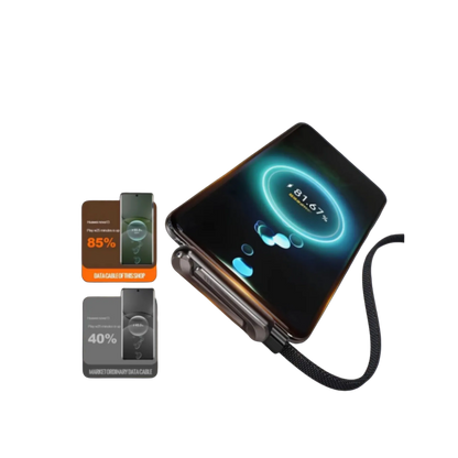 Multi Fast-Charger